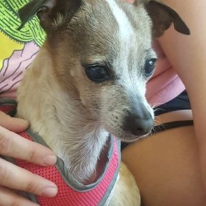 Meet your Posher, Dez